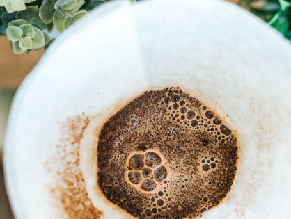 5 formas de usar borra de café no jardim
