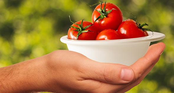 Dicas para plantar tomatinhos em casa