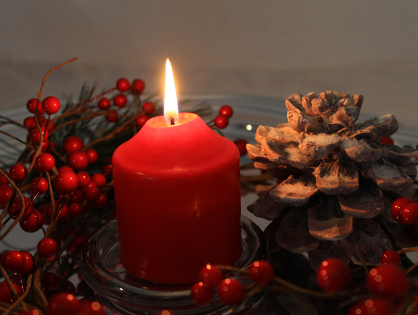 4 ideias de arranjo para decorar a mesa de Natal! – Jardim das Ideias STIHL
