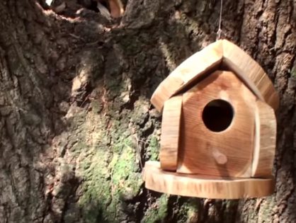 Aprenda como fazer uma casinha para pássaros