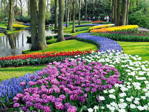 <strong>Conheça os 5 jardins mais lindos do mundo</strong>