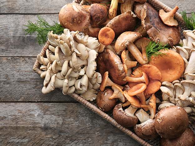 Cogumelos venenosos: saiba como identificar e evitar o consumo